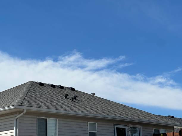 Best Slate Roofing  in Duquesne, PA